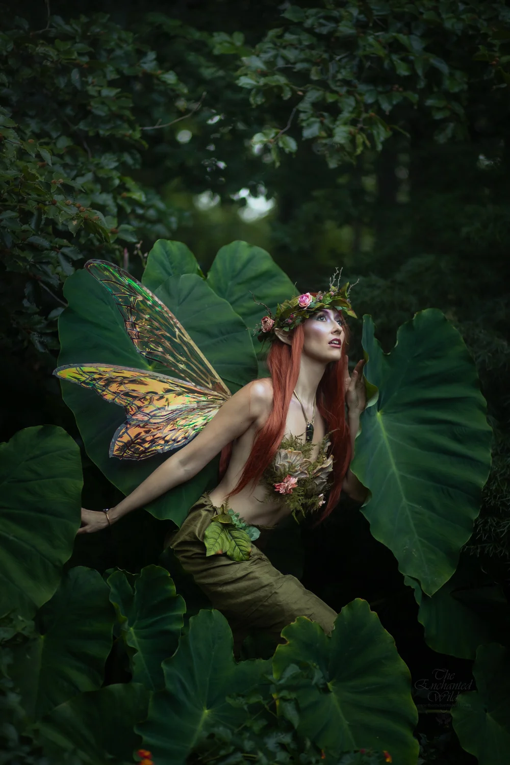 Beauty archive image 11